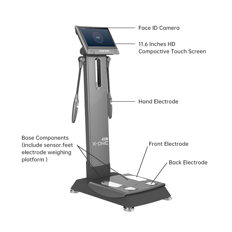 X ONE SE Body Massager Full Bo - Nutrition For Fitness Training ulasan dan harga